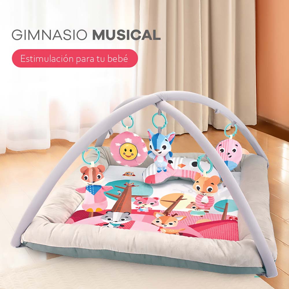 Gimnasio didáctico FOX para estimulación