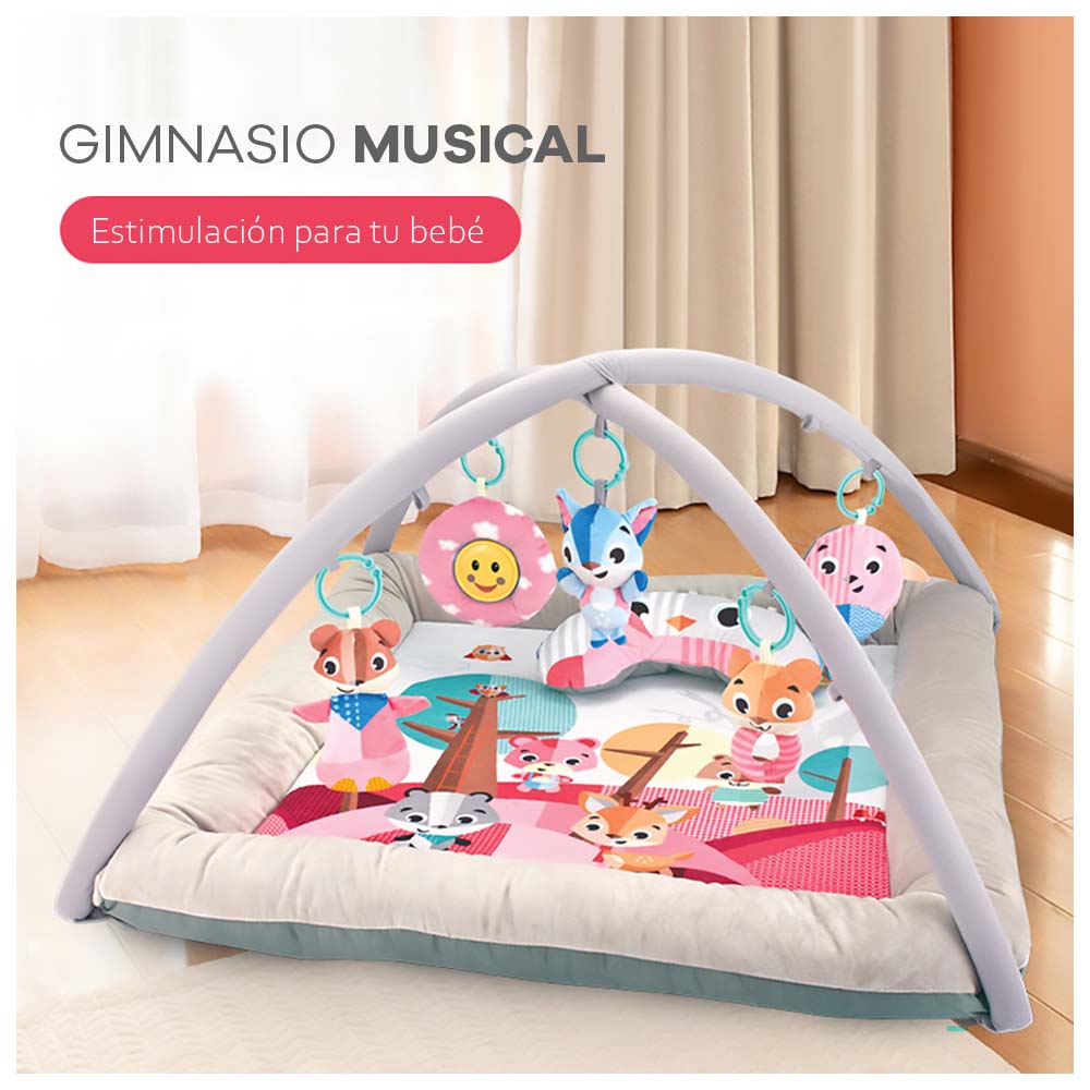 Gimnasio didáctico FOX para estimulación