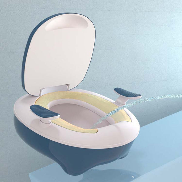 Bacin de entrenamiento